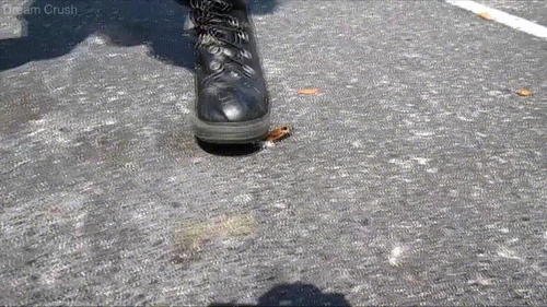 Boots [Booted by Elizabeth]