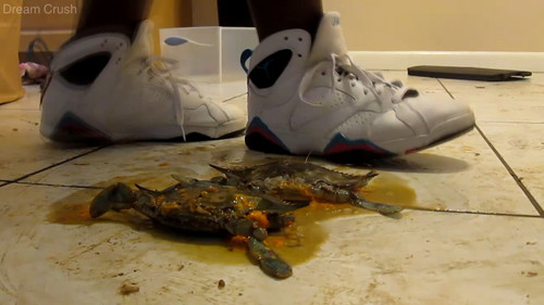 Kimberly's Jordans