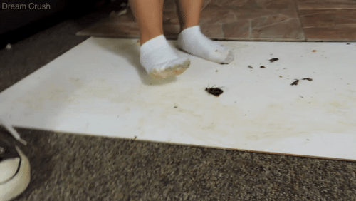 Dirty White Socks