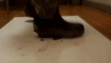 Fishing Boots