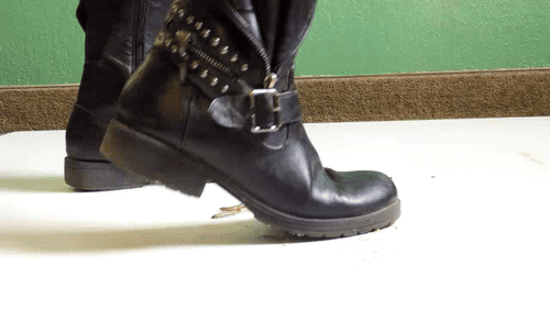 Booted by Scarlett