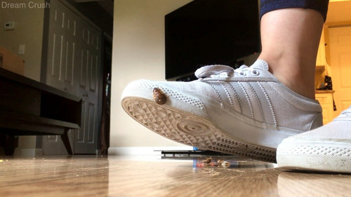 Penny's Sneakers