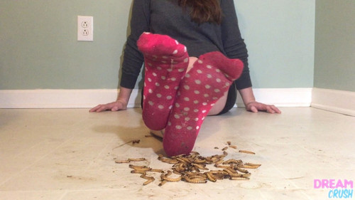 Cacophonous Crunch