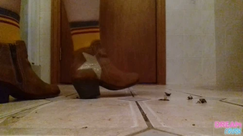 Cricket Crunch
