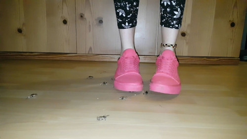 Pink VANS Punisher