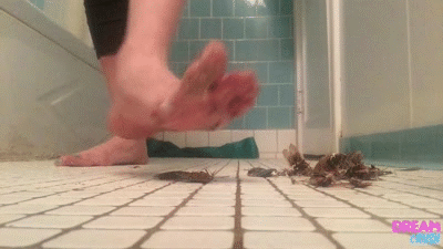 #Rekt Roaches
