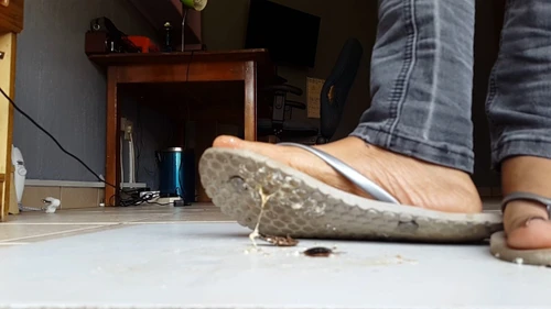 Flip Flatten