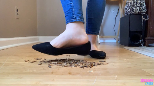 New Flats