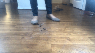 Ciera Surplus Video #2