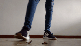 Purple Sneakers