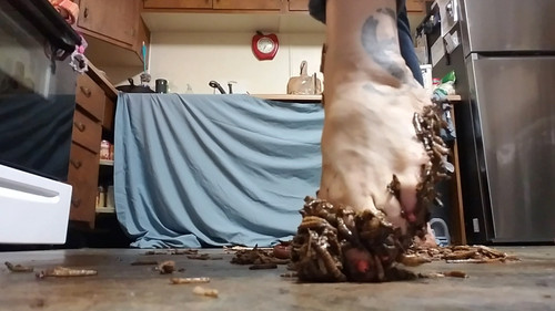 Worm Mash