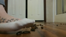 Sock and Barefoot Smush