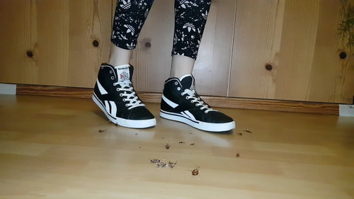 Reebok Ravage