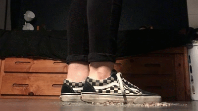 Surplus Sneakers