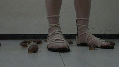 Claudia - Snails - No. 8