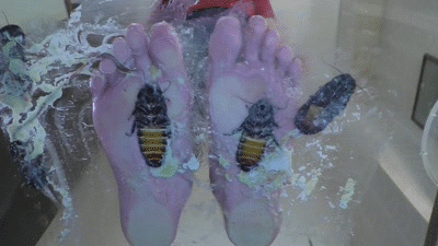 Creamy Crunchy Cockroaches