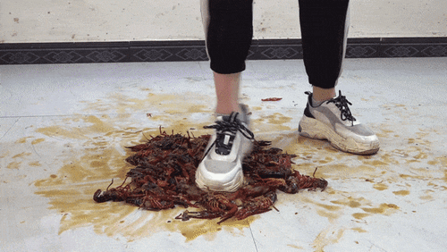 Isabella - No. 4  - Crawdads