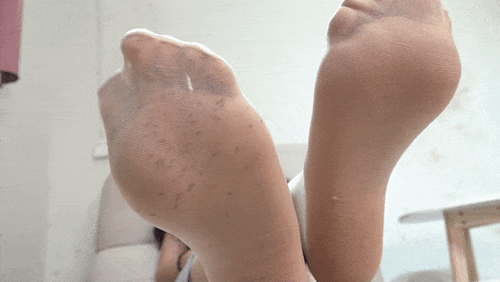 Caroline - No. 1 - Ants
