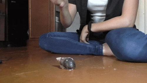 Hammer Smash II