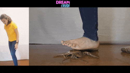 Crawdad Pure Crunch