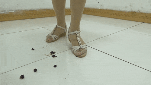 Lizi - Woodlouse