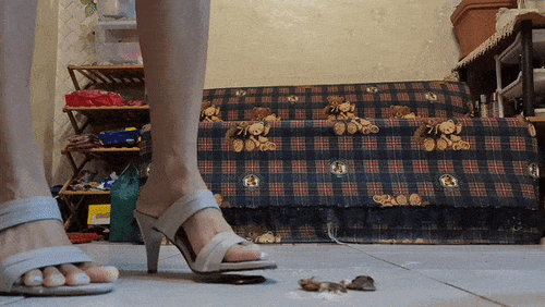 Janet Heels