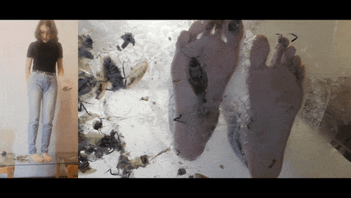Underglass 2