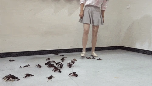 Helen - No. 2 - Crawdad