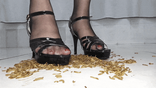 Lizi - No.4 - Mealworms