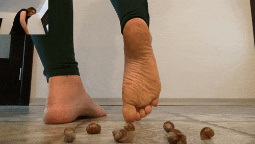 Snail Squish