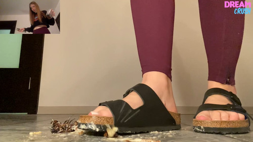 Birkenstocks Bash
