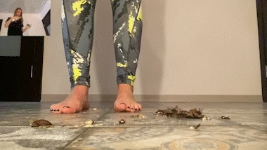 Standard Smush