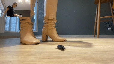 Boot Squish