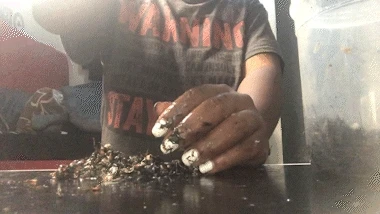 Fatal Fingers 3