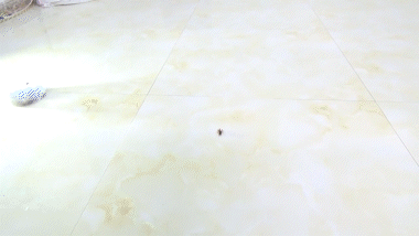 Qian Qian - Cricket - No. 9