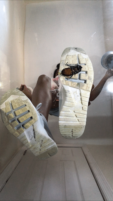 Underglass Sneakers 2