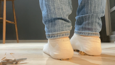 Locust Sock Crunch