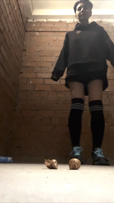 Jumping Janissary 2