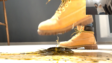 Timberland Trample