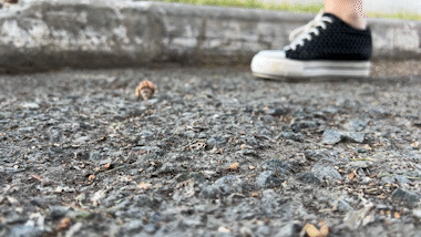 Sneaker Twist 2