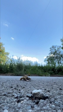 Run-By 3