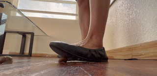 Flats Squash Flat 2