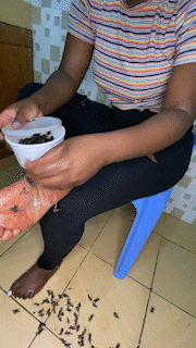 Sole Polish