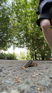 Walkover Crunch 2