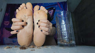 Cricket Control 3