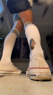Sneaker Smusher