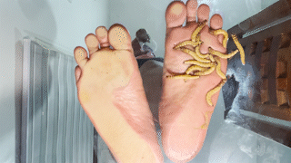 Underglass Worms 8