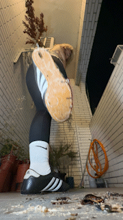 Aya's Adidas