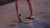 Sandalicious