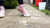 Anna Converse Crush Mk. 3
